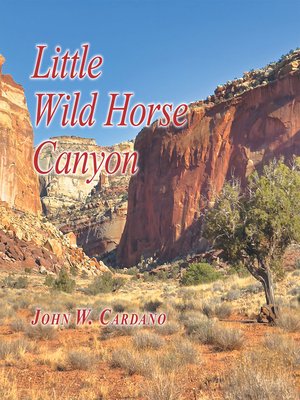 cover image of Little Wild Horse Canyon
